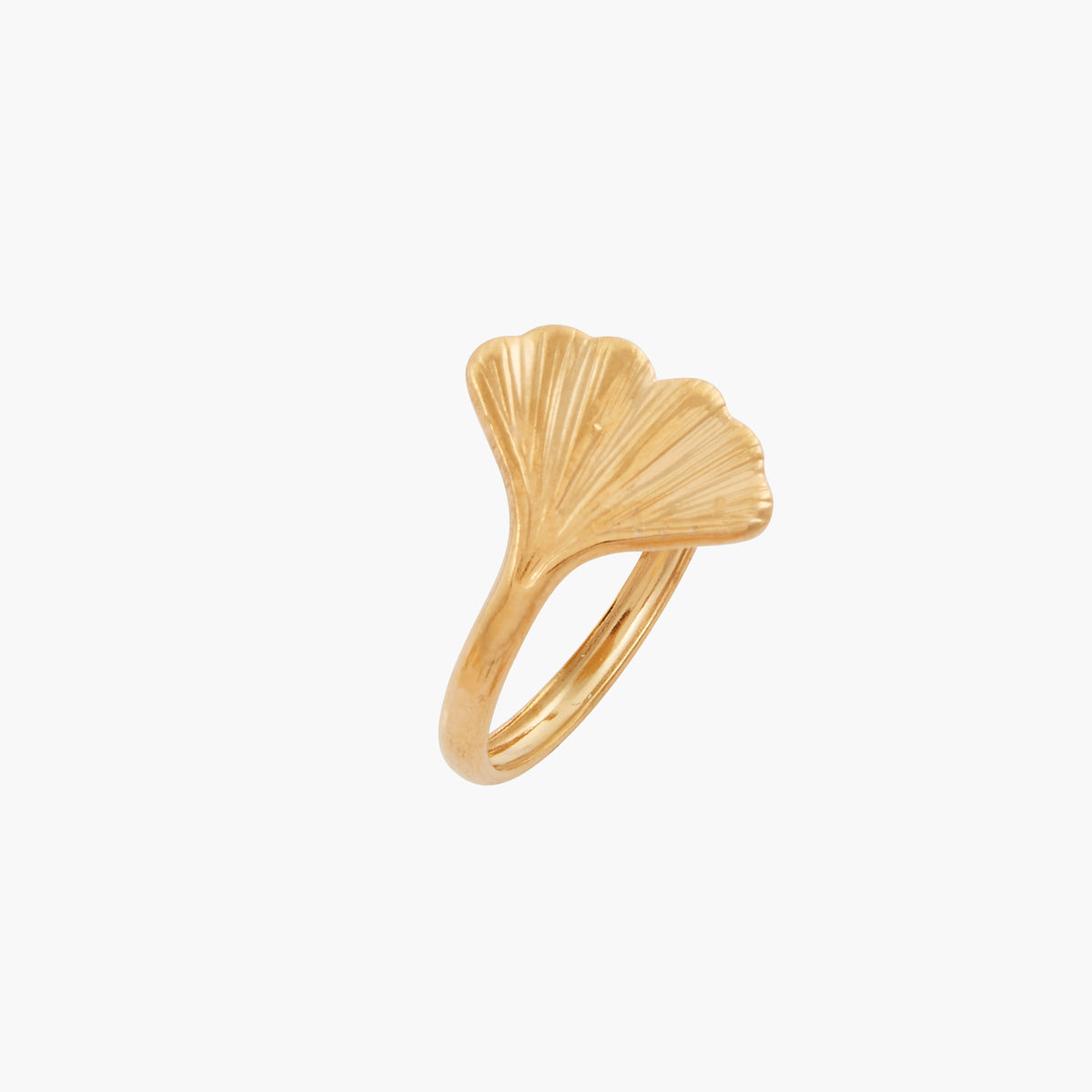 Bague feuille Gingko Acier Inoxydable